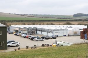 RAGT Seeds in Cambridgeshire has had a new ground source heat pump system installed in its glasshouses