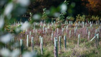 How to Get the Best From Your Heat Pump This Winter